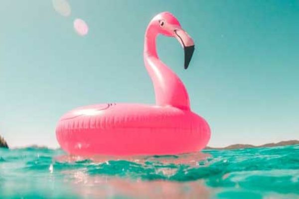 flamingo pool floatie in the water